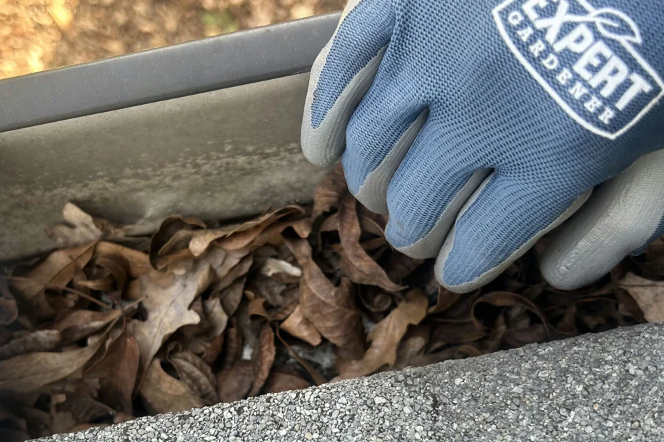 Gutter Cleaning Jacinto City, TX