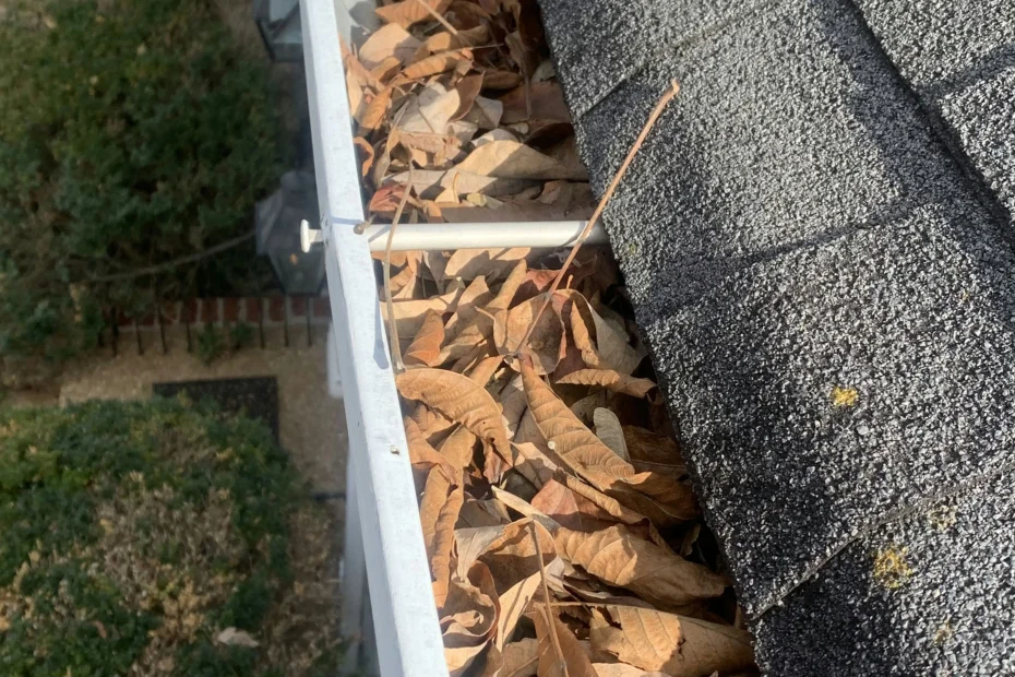 Gutter Cleaning Jacinto City, TX