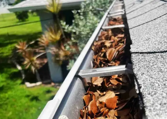 Gutter Cleaning Jacinto City, TX home page